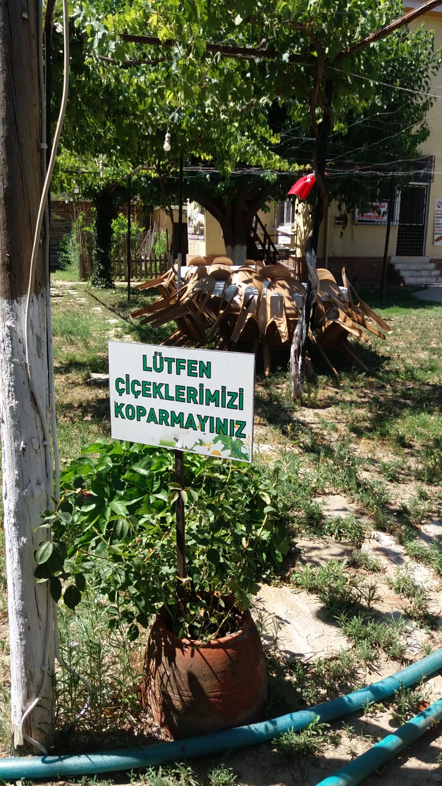 dereağzı köyü kahvaltı